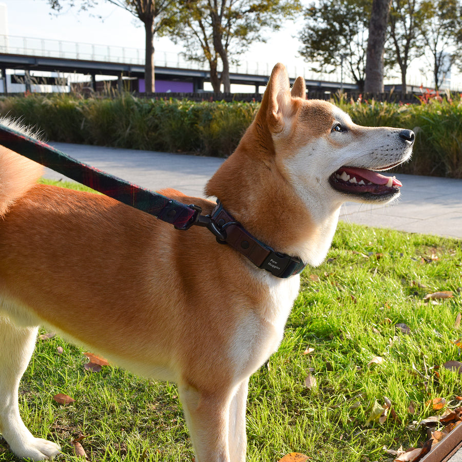 PawHuggies Premium Plaid Flannel Dog Harness Leash Set - Paw Huggies